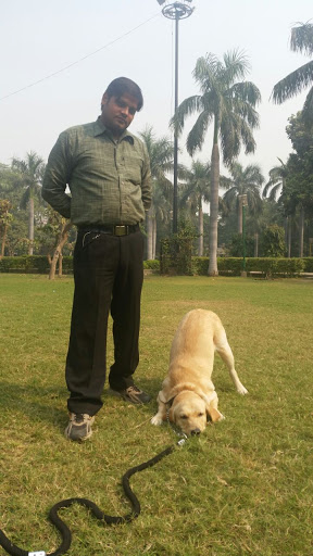 Shammi Verma - Best Dog Trainer in Delhi