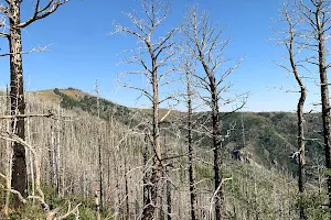 Sierra Blanca Trailhead image