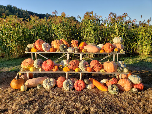 Florist «Greengable Gardens», reviews and photos, 24689 Grange Hall Rd, Philomath, OR 97370, USA