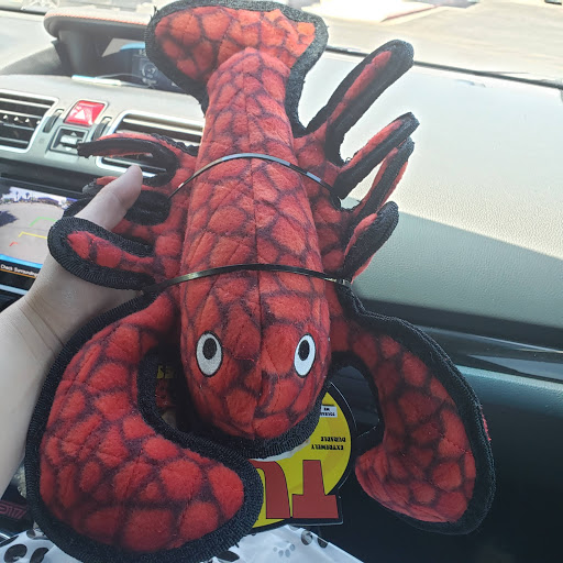 Pet Supply Store «DogSupplies.com Outlet Store», reviews and photos, 2960 St Rose Pkwy #170, Henderson, NV 89052, USA