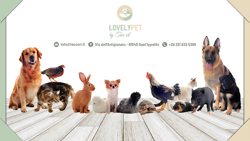 Cremazioni e sepolture per cani a Lovely pet