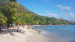 Foto di Spiaggia Anse Figuier sorretto da scogliere