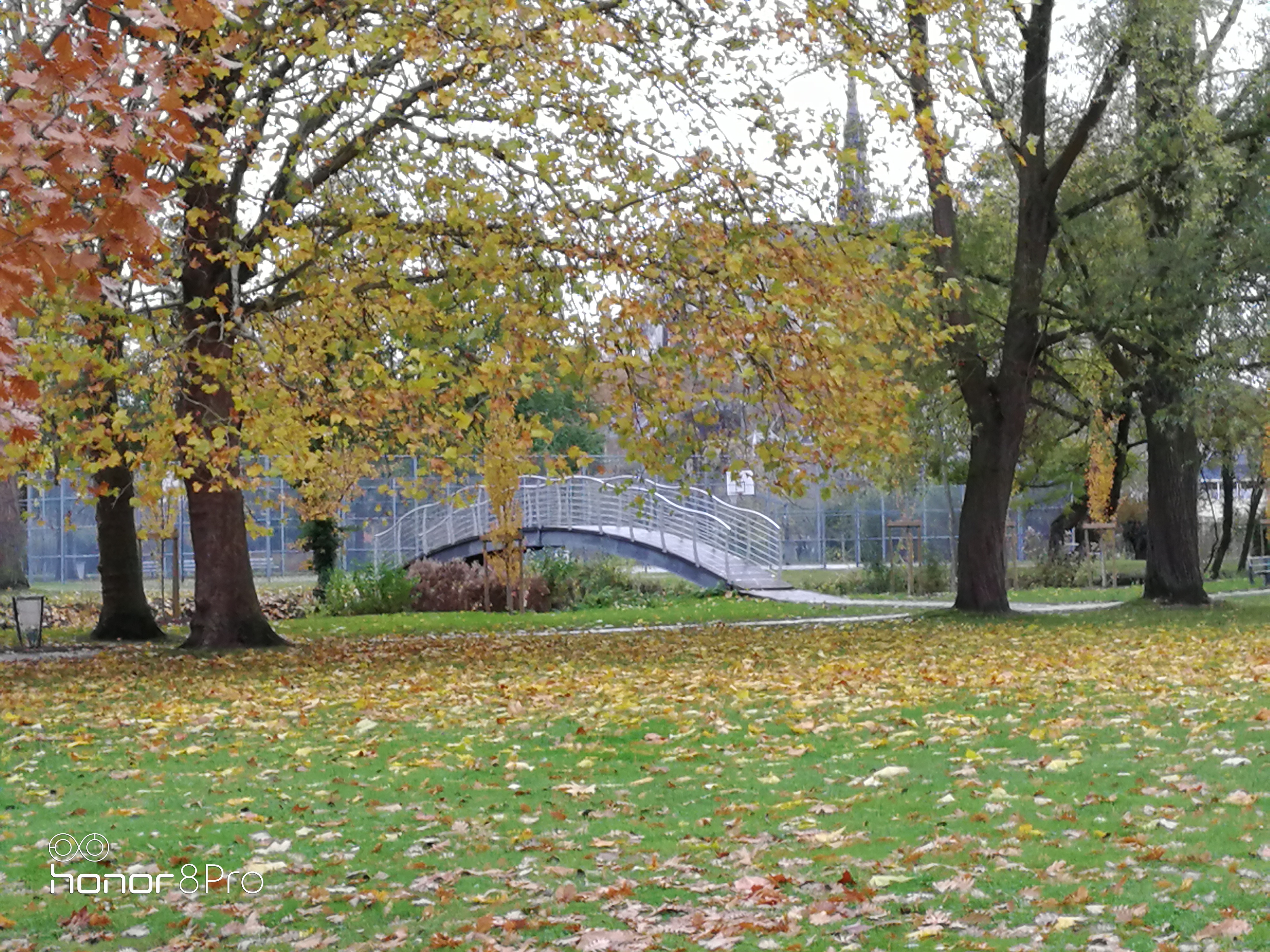 Photo n° 11 de l'avis de Carl.U fait le 08/12/2018 à 19:37