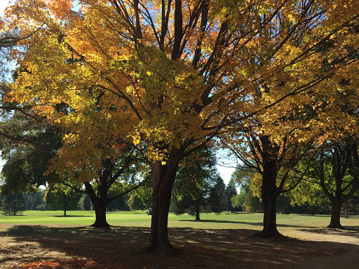 Country Club «Lakelands Golf & Country Club», reviews and photos, 8760 Chilson Rd, Brighton, MI 48116, USA