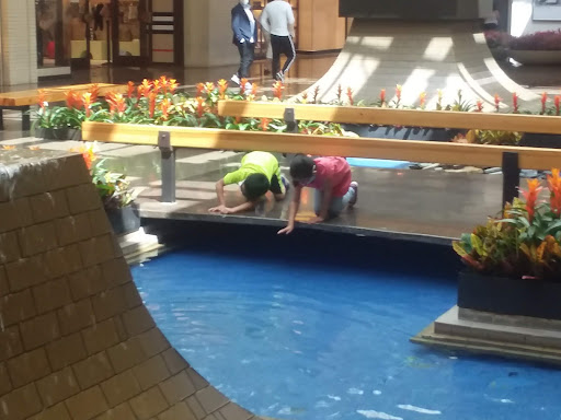 Clothing Store «Nike», reviews and photos, 8687 N Central Expy, Dallas, TX 75225, USA