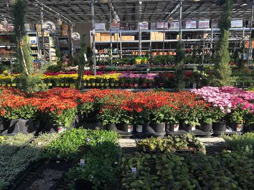 Home Improvement Store «The Home Depot», reviews and photos, 6280 Hembree Ln, Windsor, CA 95492, USA