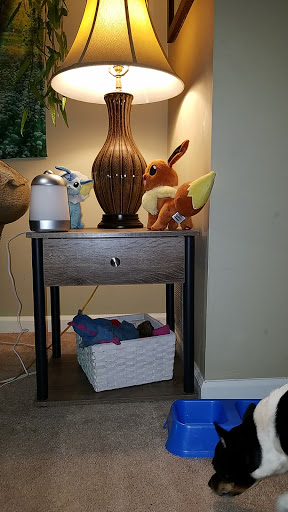 Discount Store «Dollar General», reviews and photos, 989 Senoia Rd, Tyrone, GA 30290, USA