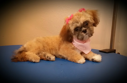 Pampered Pets - Spa & Boutique