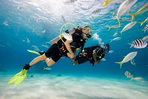 Goa scuba diving and water sports image