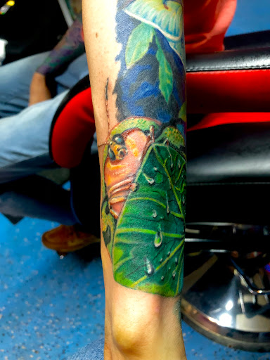 Explore hand tattoo ideas for man, creative tattoo ideas in New Port Richey, available at Zodiac Tattooing & Body Piercing