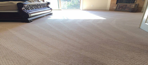 Pro Oakland Eco Green Carpet Cleaning