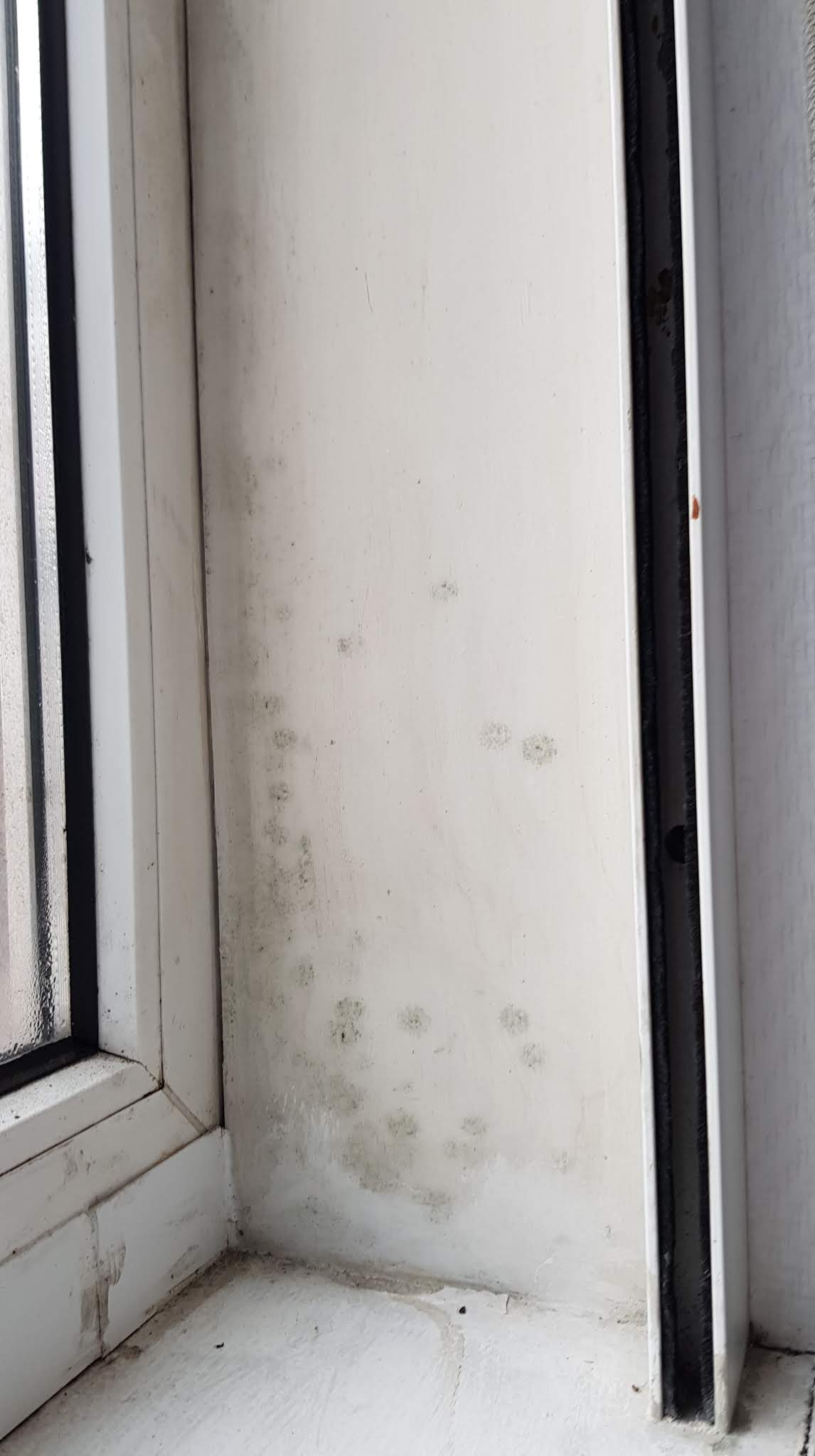Photo n° 1 de l'avis de Clem.n fait le 26/02/2020 à 12:43