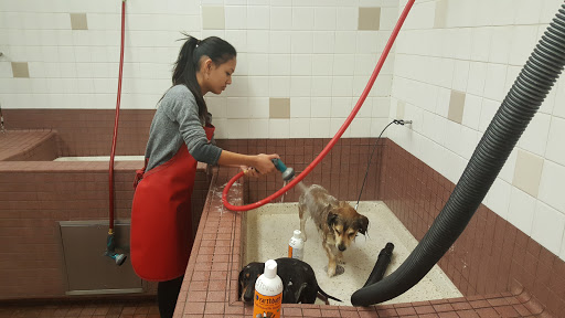 Pet Supply Store «Pet Food Express», reviews and photos, 39010 Paseo Padre Pkwy, Fremont, CA 94538, USA