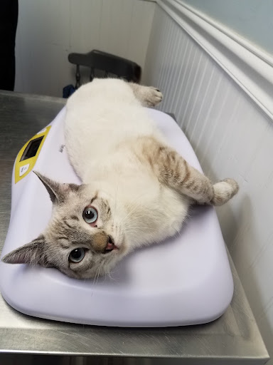 2172 Millburn Ave, Maplewood, NJ 07040, USA