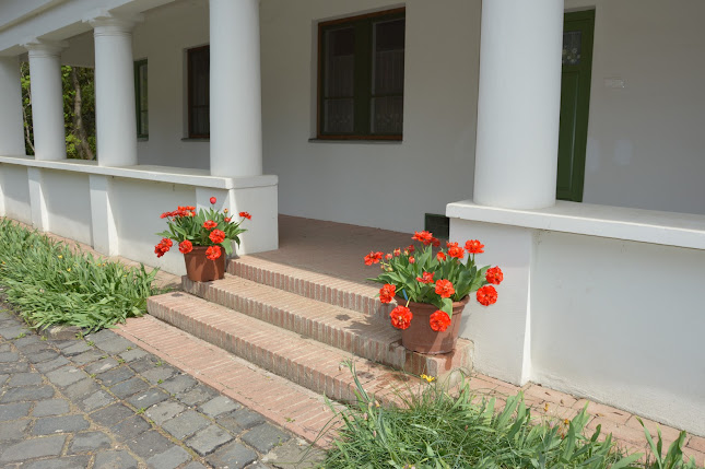 Nemzeti Botanikus Kert, Vácrátót - Egyetem