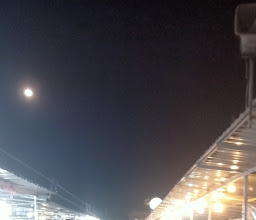 ตลาดนัดหนองแปป photo