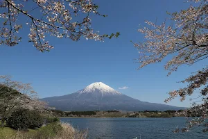 田貫湖 image