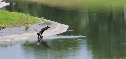 Golf Course «Edinburgh Golf Course», reviews and photos, 8700 Edinbrook Crossing, Brooklyn Park, MN 55443, USA