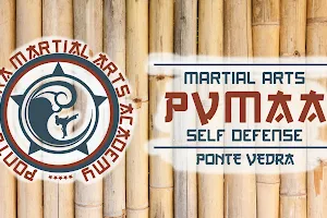 Ponte Vedra Martial Arts Academy image