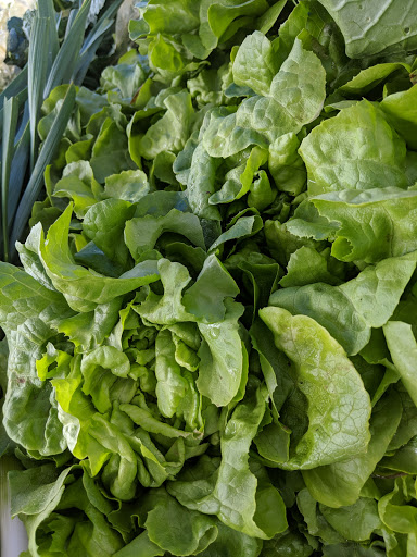 Recreation Center «Arlington Mill Community Center», reviews and photos, 909 S Dinwiddie St, Arlington, VA 22204, USA