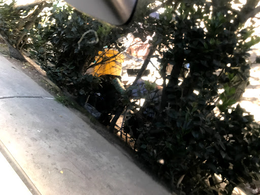 Car Wash «Country Village Car Wash», reviews and photos, 3606 Rosemead Blvd, Rosemead, CA 91770, USA