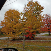 Long Horn Horse & Pet Supply - Photo 4 - Car repair in Buxton, ME, Portland