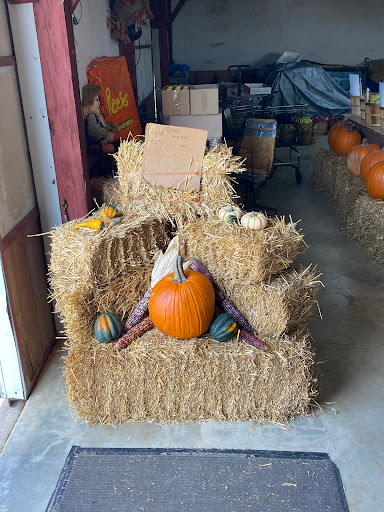 Greenhouse «Stiles Vegetable Farm and Greenhouse», reviews and photos, 11717 Sheridan Rd, Pleasant Prairie, WI 53158, USA