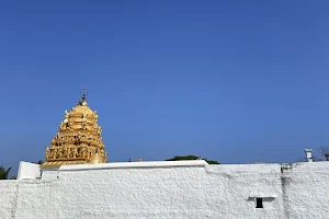 Samaguttapalli Sri Anjaneyaswamy Temple image