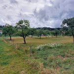 Photo n°17 de l'avis de Uwe.e fait le 30/07/2023 à 18:12 sur le  Hotel zum Schwanen Ziefle à Pfalzgrafenweiler