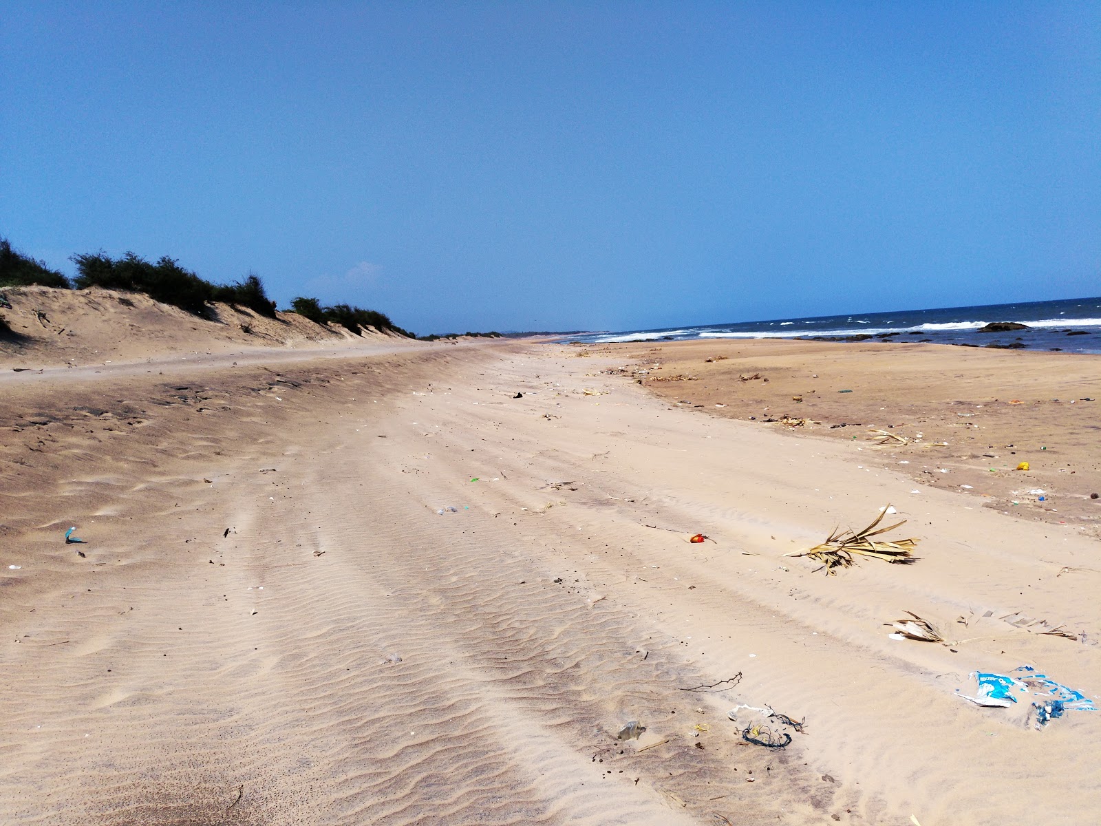 Thippalavalasa Beach'in fotoğrafı düz ve uzun ile birlikte