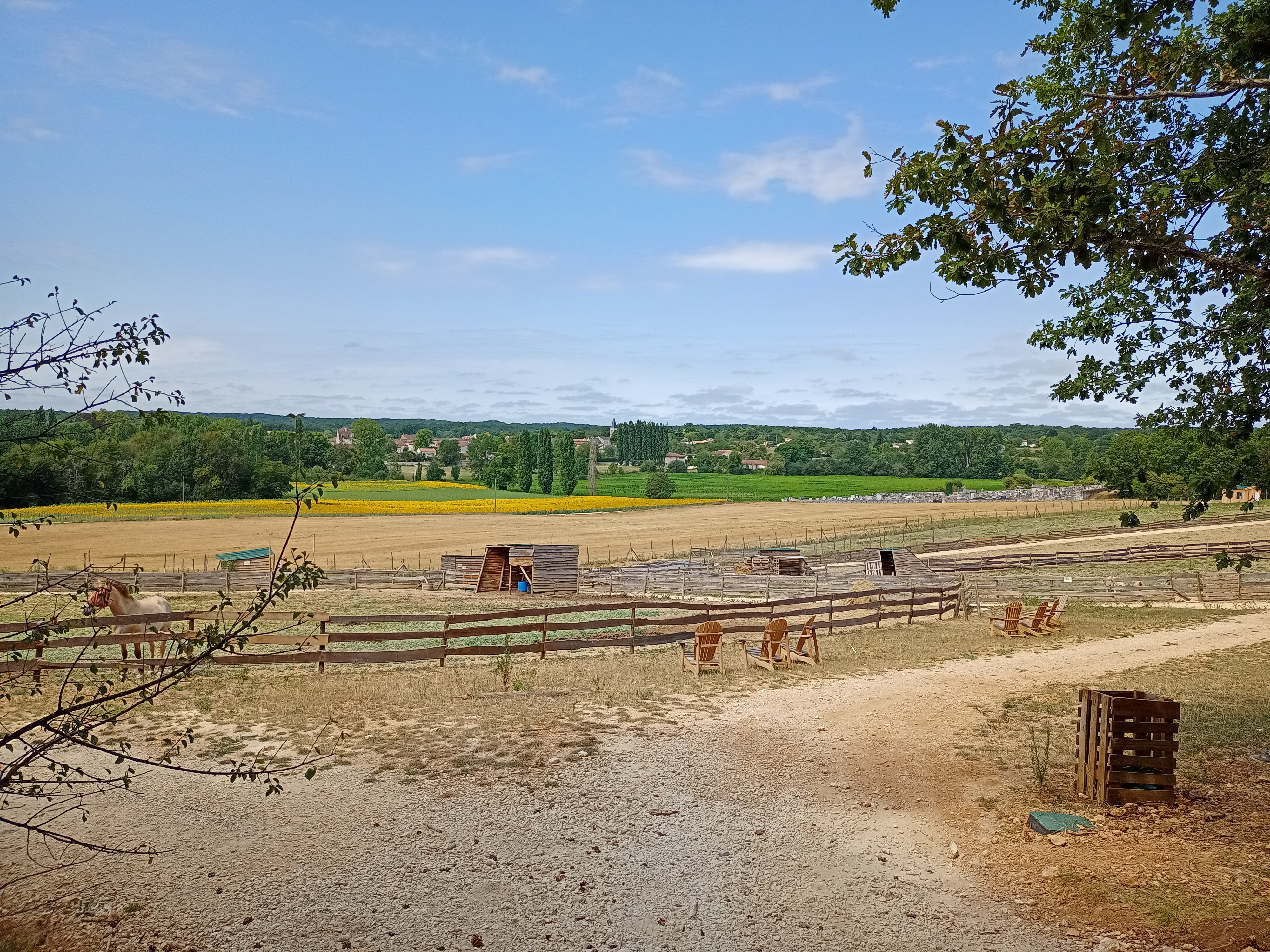 Photo n° 4 de l'avis de Sandra.e fait le 03/08/2020 à 11:13