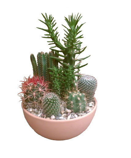 Florist «Phoenix Flower Shops», reviews and photos, 737 E Broadway Rd, Tempe, AZ 85282, USA