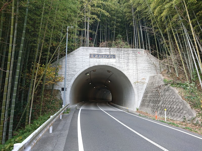 茶臼山トンネル