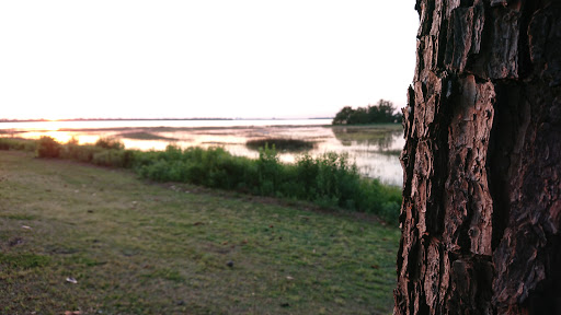 Water Park «Memorial Waterfront Park», reviews and photos, 99 Harry M. Hallman Jr Blvd, Mt Pleasant, SC 29464, USA