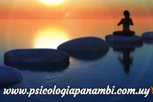 Psicología Panambí image
