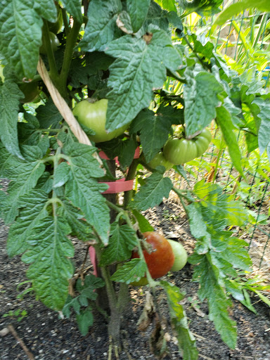 Health Food Store «Vineyard Grocer», reviews and photos, 294 State Rd, Vineyard Haven, MA 02568, USA