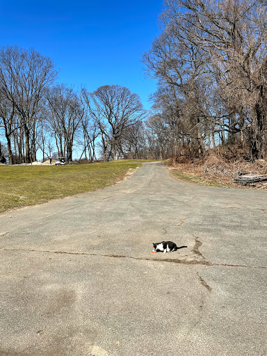 Golf Course «Forest Park Golf Course», reviews and photos, 101 Forest Park Dr, Woodhaven, NY 11421, USA