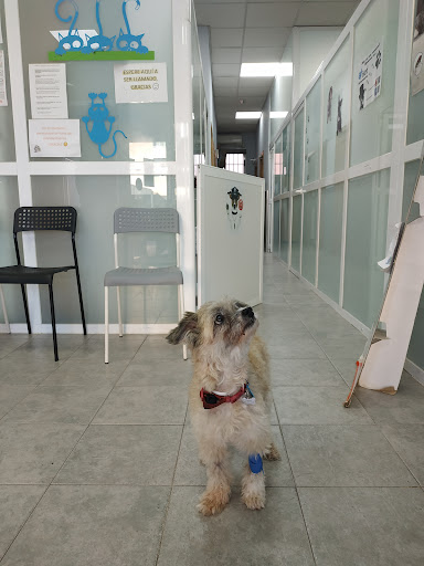 Valdemoro Centro Veterinario en Valdemoro