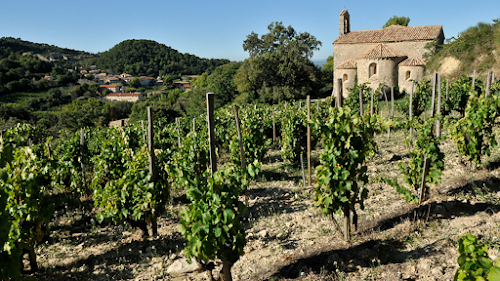 Château de Saint Cosme à Gigondas