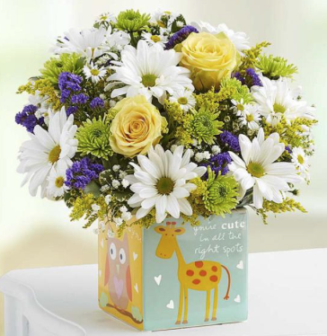 Florist «Cute Flowers & Gifts», reviews and photos, 3294 El Camino Real, Santa Clara, CA 95051, USA