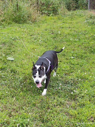 Park «Howe Rd Park», reviews and photos, 988 E Howe Rd, Tallmadge, OH 44278, USA