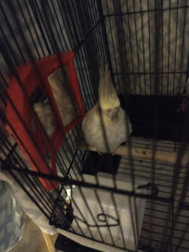 Pet Supply Store «PetSmart», reviews and photos, 1450 Spring Meadows Dr, Holland, OH 43528, USA