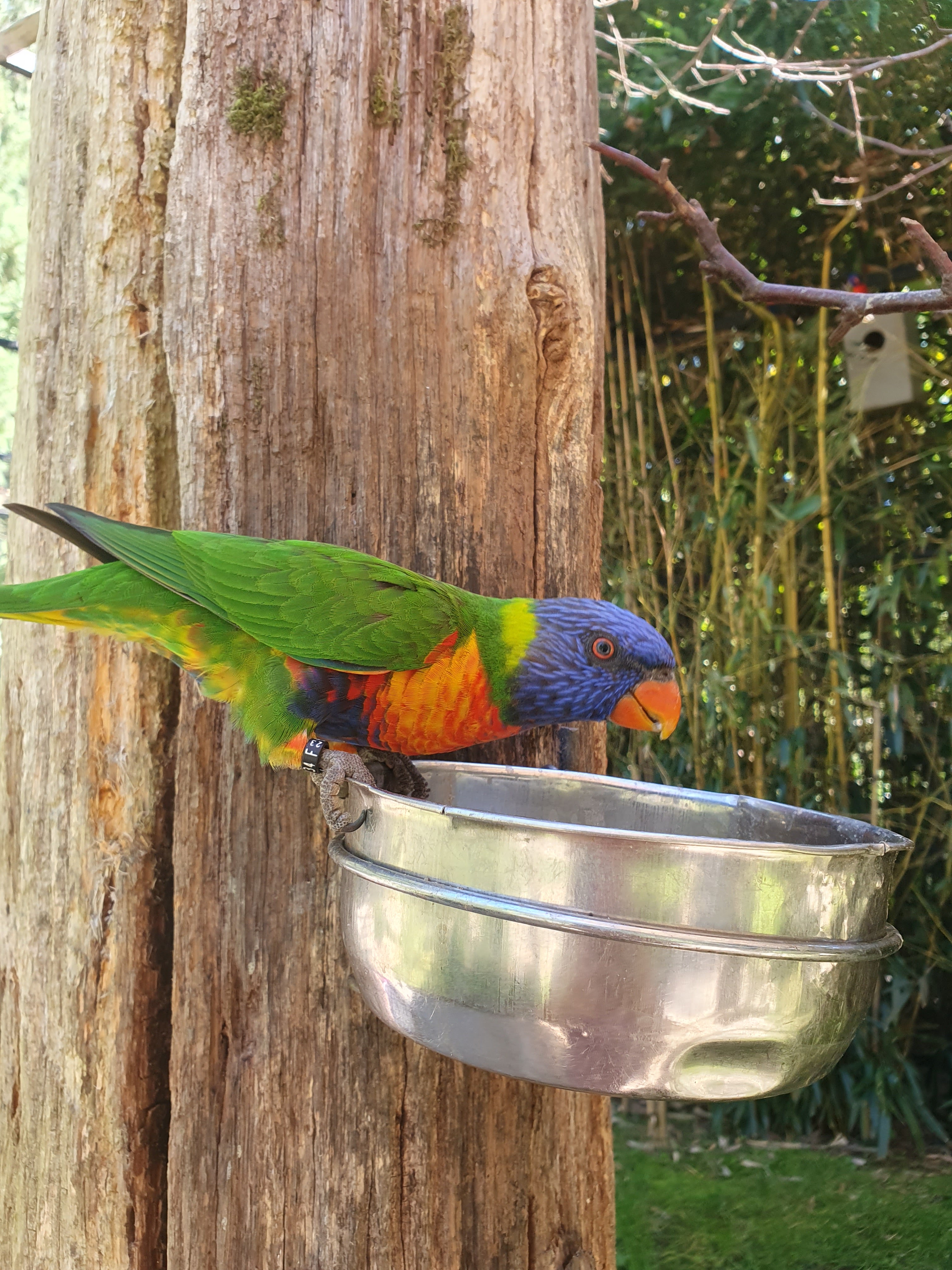 Photo n° 2 de l'avis de rose.a fait le 08/09/2023 à 13:12