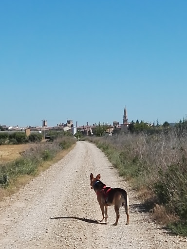 Centro Veterinaria Dejando Huella en Olite