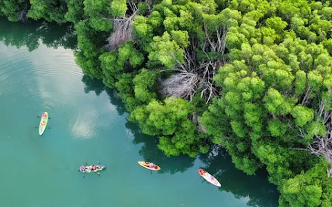 Go Kayak Cancun image