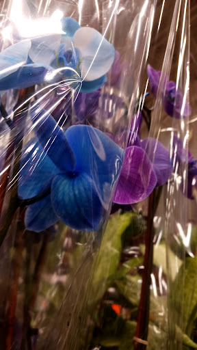 Home Improvement Store «The Home Depot», reviews and photos, 3901 Vineyard Dr, Dunkirk, NY 14048, USA