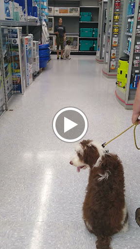 Sporting Goods Store «Academy Sports + Outdoors», reviews and photos, 11900 US-181, Portland, TX 78374, USA