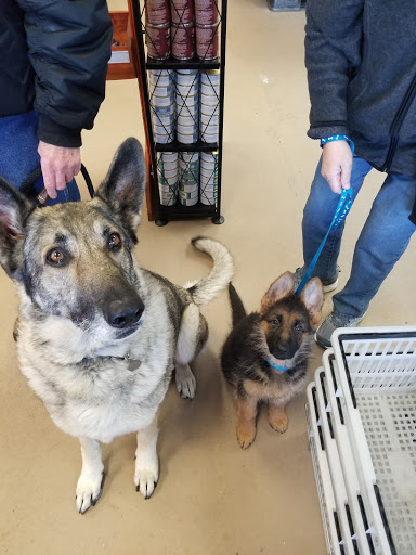 Pet Store «Paws Natural Pet Emporium», reviews and photos, 8551 W Gage Blvd, Kennewick, WA 99336, USA