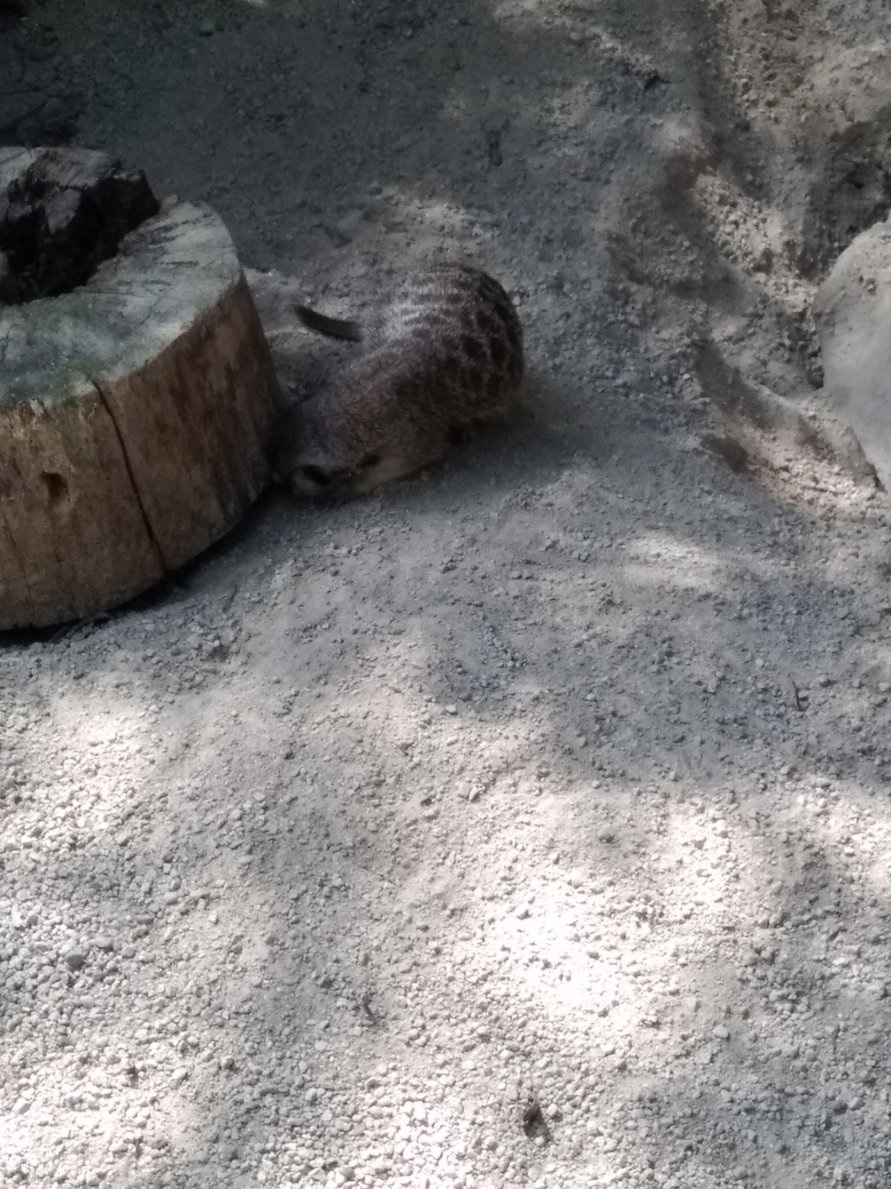 Photo n° 41 de l'avis de carine.a fait le 25/08/2019 à 20:31