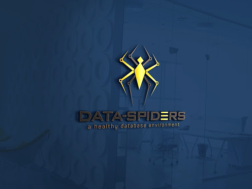 Data-Spiders